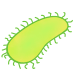 Little Alchemy https://www.gambledude.com/assets/bacteria.jpg icon