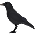 Little Alchemy https://www.gambledude.com/assets/crow.jpg icon