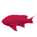 Little Alchemy https://www.gambledude.com/assets/fish.jpg icon