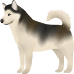 Little Alchemy https://www.gambledude.com/assets/husky.jpg icon