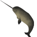 Little Alchemy https://www.gambledude.com/assets/narwhal.jpg icon