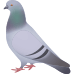 Little Alchemy https://www.gambledude.com/assets/pigeon.jpg icon