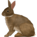 Little Alchemy https://www.gambledude.com/assets/rabbit.jpg icon
