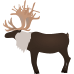 Little Alchemy https://www.gambledude.com/assets/reindeer.jpg icon