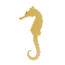 Little Alchemy https://www.gambledude.com/assets/seahorse.jpg icon