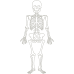 Little Alchemy https://www.gambledude.com/assets/skeleton.jpg icon