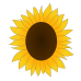 Little Alchemy https://www.gambledude.com/assets/sunflower.jpg icon